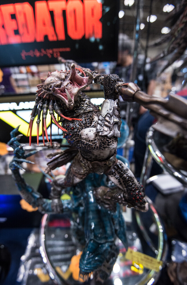 WonFes 2015 Summer Photo Collection! Part 1: Cool & Comical Edition 81