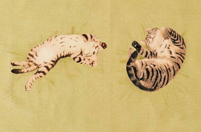 Discover the Joy of Keeping Cats with Sleeping Kitty Towels! 6