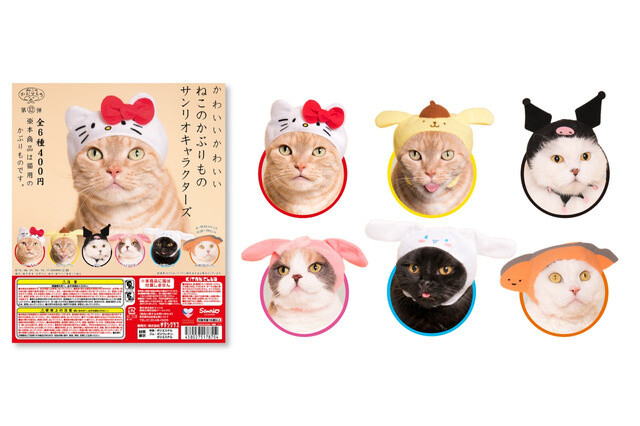 Turn Your Cat Into Hello Kitty With Adorable Collab Headwear! 8