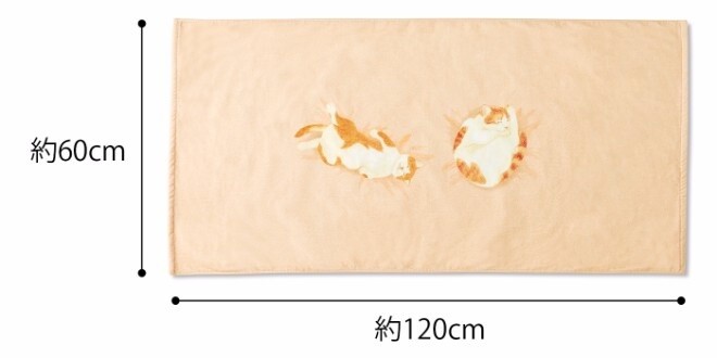 Discover the Joy of Keeping Cats with Sleeping Kitty Towels! 2