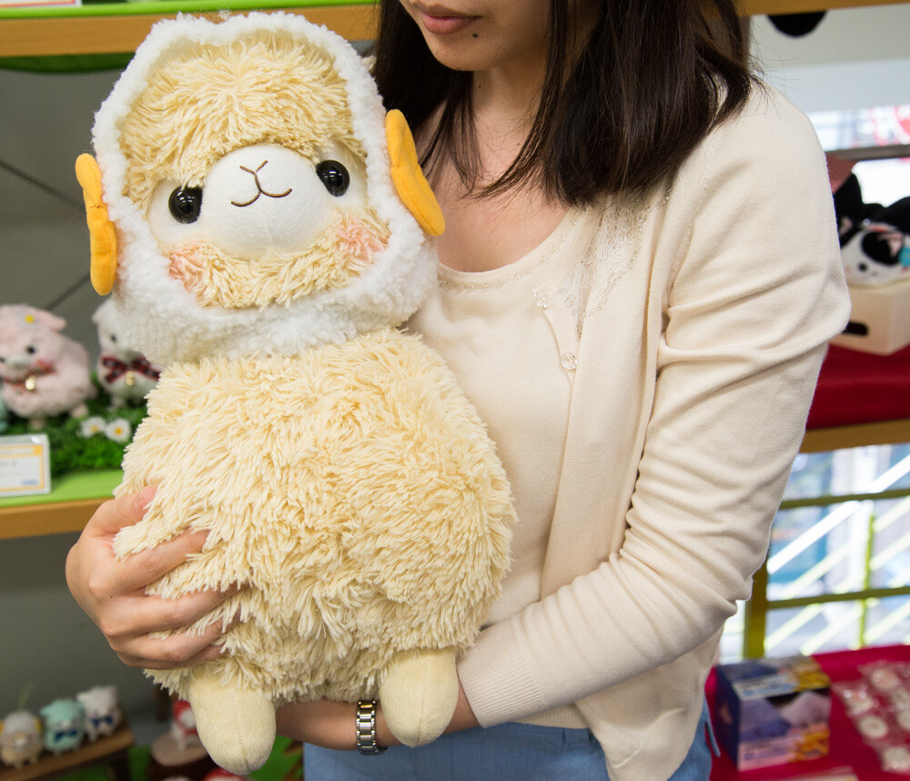 Makiba no Kids Alpacasso series 12