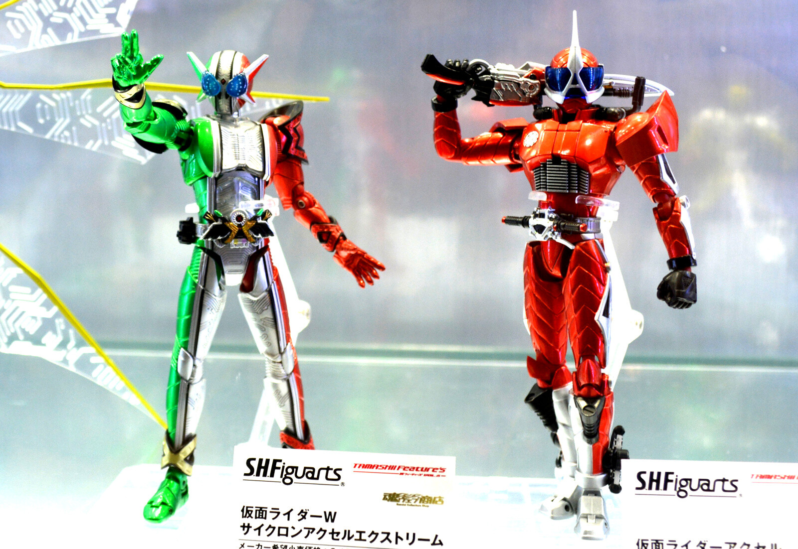 *Kamen Rider W* Series 21