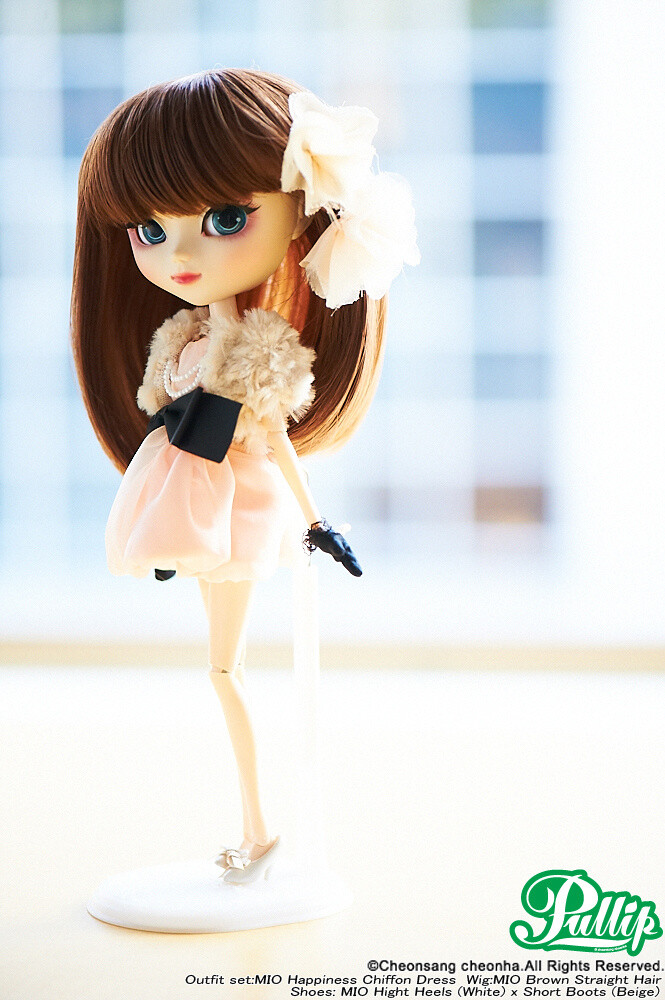 A Primer on Custom Dolls Beginning with Pullip: Connecting Hearts Through Love 7