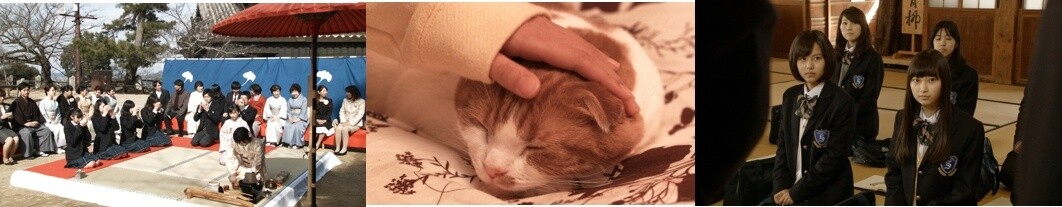 Matcha Fans Rejoice: Even Richer Matcha Kit Kats Being Released! 5