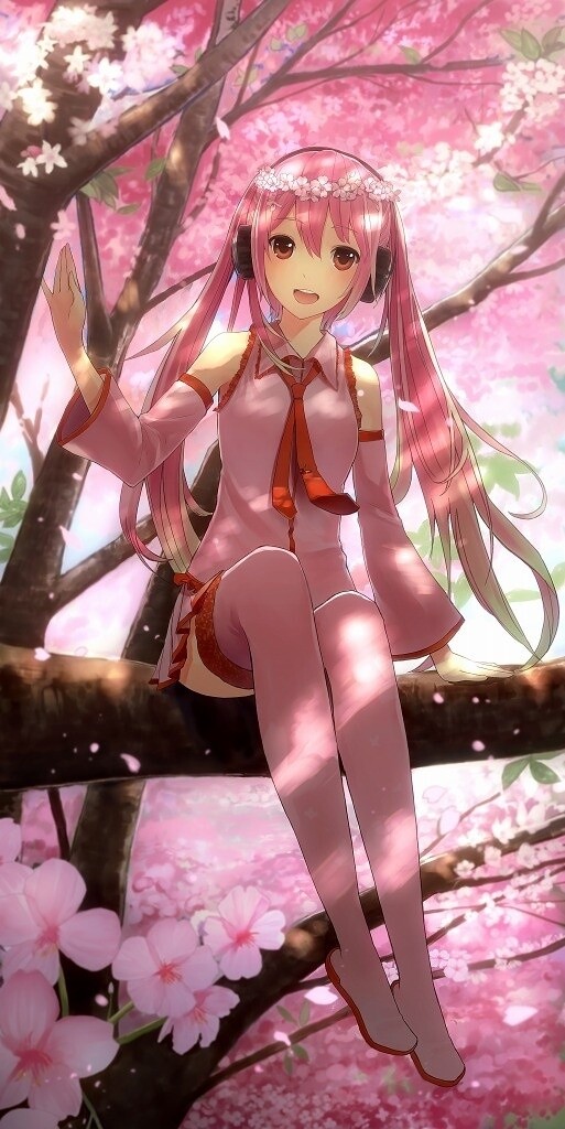 Sakura Miku 3