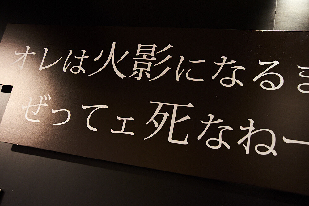 NARUTO⇒BORUTO Museum [Photo Report] 10