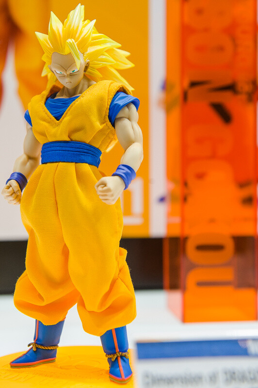 WonFes 2016 Winter Photo Collection! Part 1: Cool & Comical 119