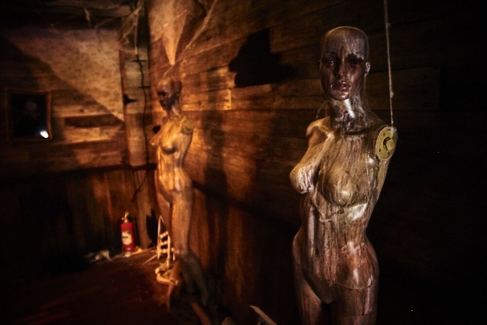 Tokyo Game Show 2016 [Photo Report] 48