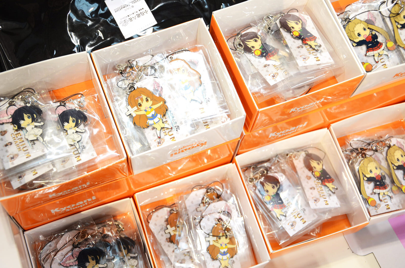 In-Depth Report on Kyoto Animation and Animation Do Event KyoAni & Do CTFK 2013 - Display Booths and Staff Discussions 28