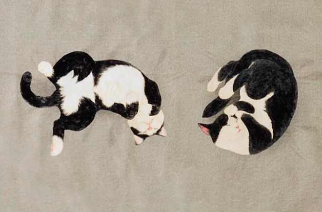 Discover the Joy of Keeping Cats with Sleeping Kitty Towels! 3