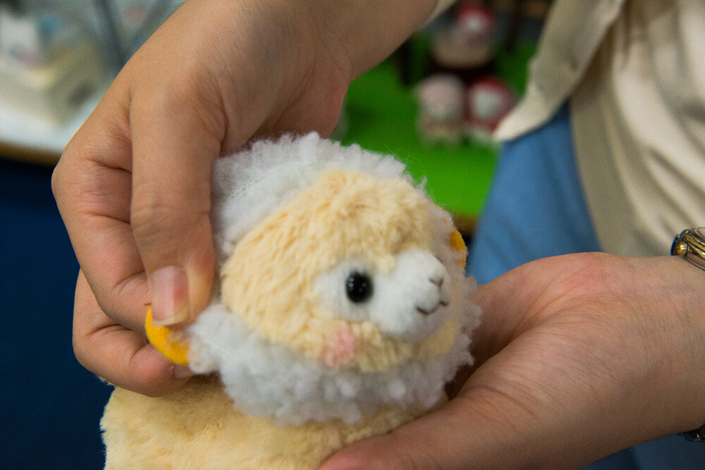 Makiba no Kids Alpacasso series 10