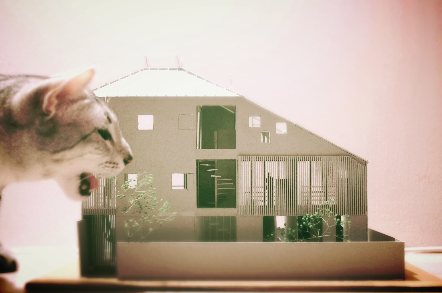 Mauhouse Setagaya model 1 0