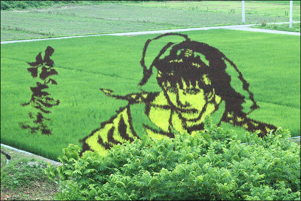 Cutting-Edge Art Born from Japanese History! Introducing Tanbo Art from All Over Japan 6