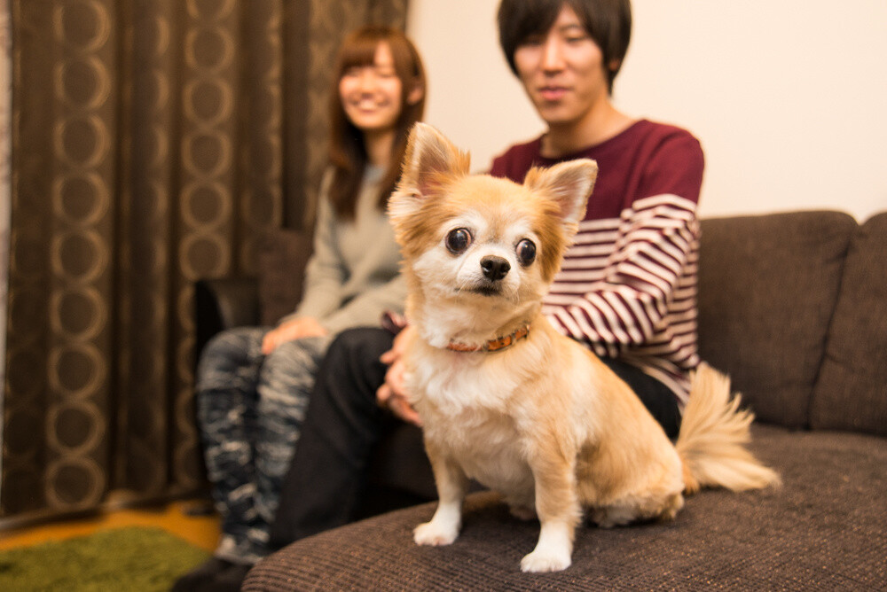 Interview: Shinobism, Making a Place that Connects Games and People (1/2) 1