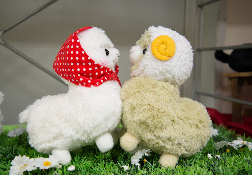 Makiba no Kids Alpacasso series 4