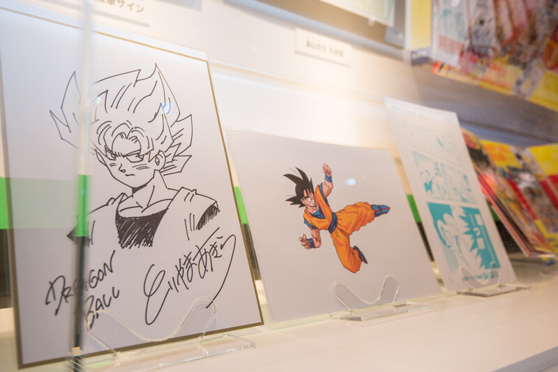 Fans Flock to Jump Festa 2016! 8