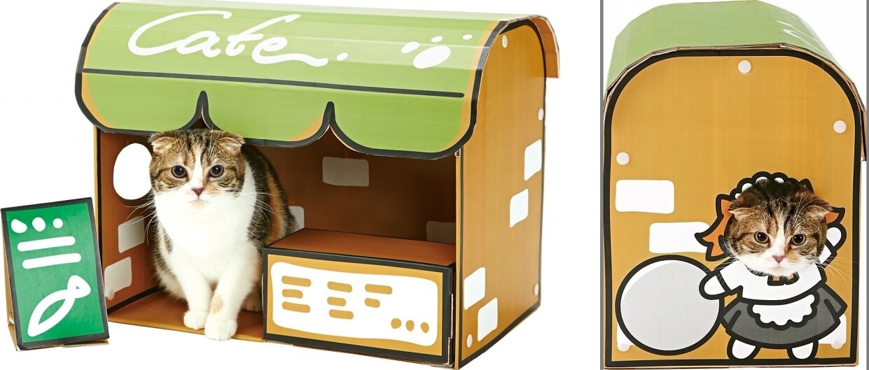 Real Life Neko Atsume! 0