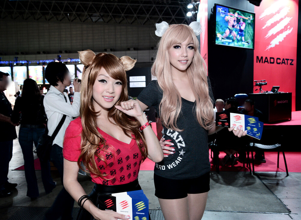 Cosplayers and Models: A Look Back at Tokyo Game Show 2013! 9