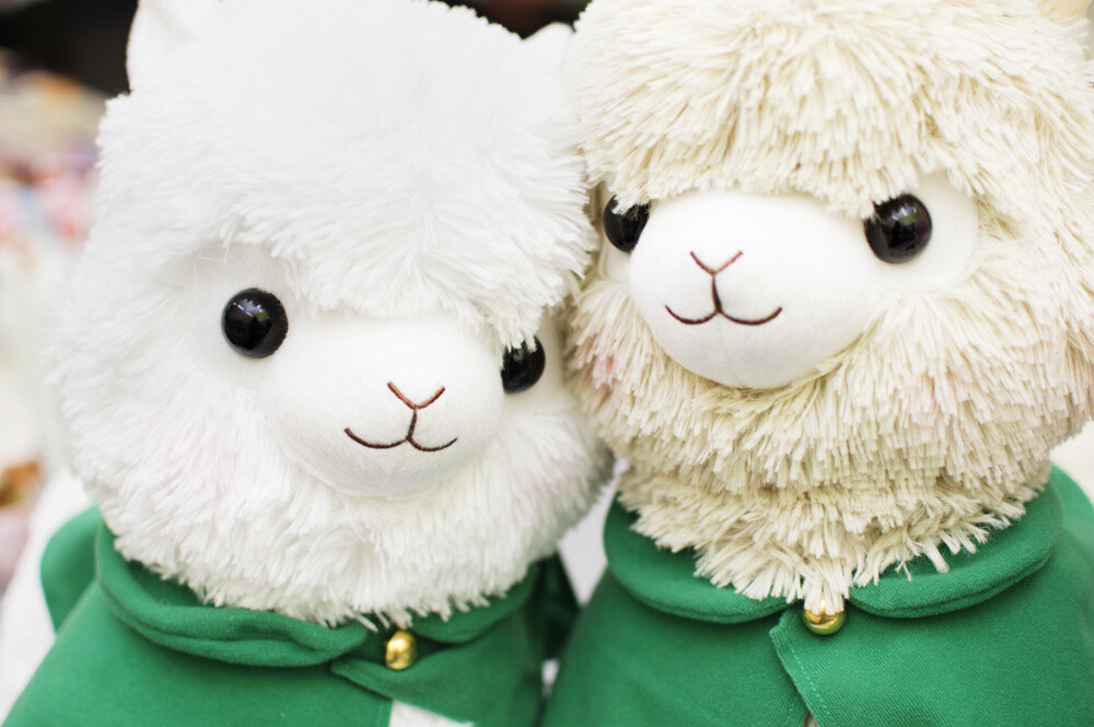 Advancing Alpacasso Corps! Sales Begin in August! 11