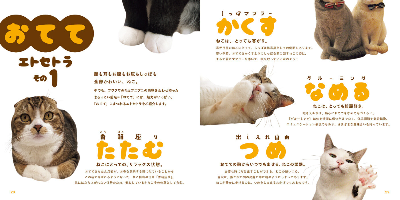 Precious Neko no Otete Photo Book Focuses on Kitties' Adorable Little Paws! 5