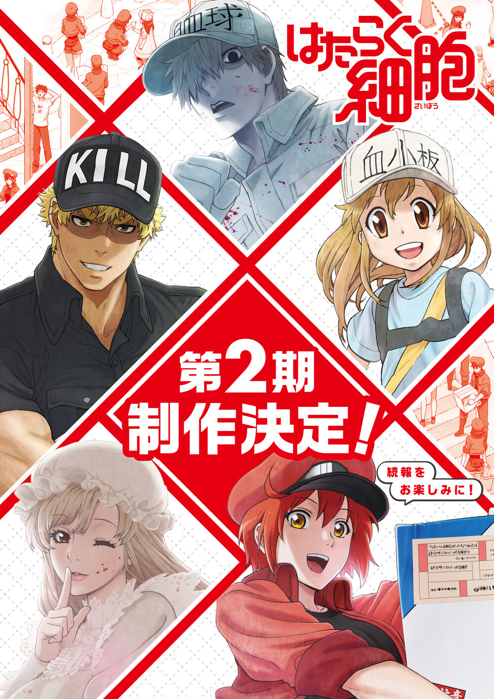 Cells at Work Season 2 English Dub Heading to Funimation - Siliconera