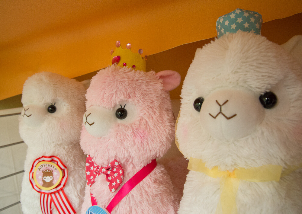 December release Alpacasso WakuWaku Party series 22