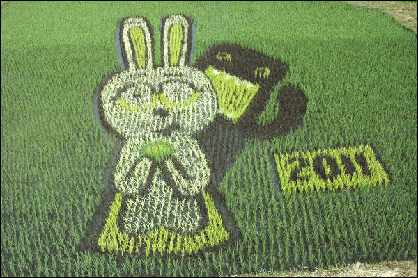 Cutting-Edge Art Born from Japanese History! Introducing Tanbo Art from All Over Japan 7