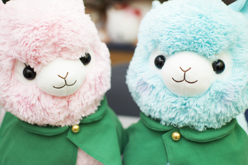 Advancing Alpacasso Corps! Sales Begin in August! 6