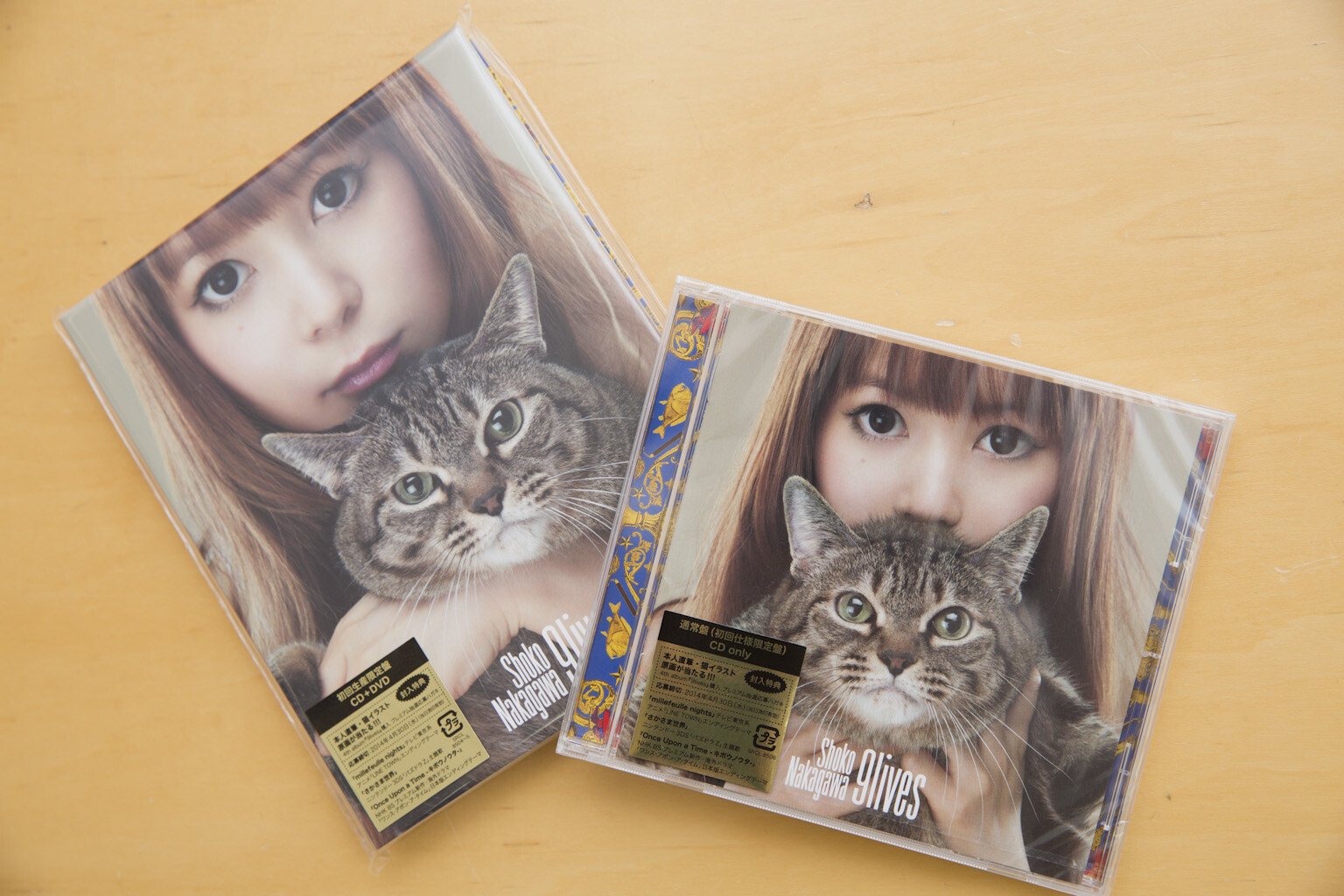 Interview: Otaku Artist Shoko Nakagawa [2/2] 5