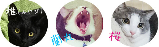 Adorable Kitty-Shaped Bento is a Cat-lover's Dream Come True! 12