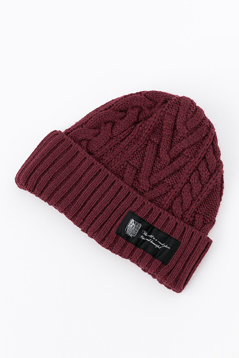 Stay Warm In Stylish Attack on Titan Survey Corps-Inspired Fall Gear! 16