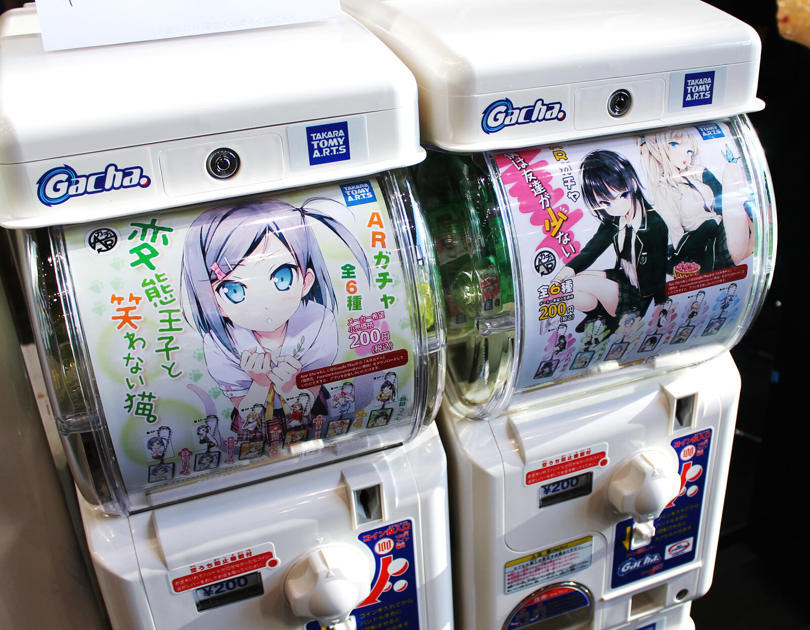 Otaku Flood the Streets of Akihabara for the Winter Radio Kaikan Festival! [2/2] 14