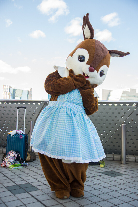 Comiket 89 Photo Report: Day 3 104