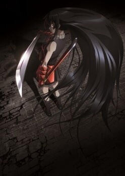 © Takahiro, Tetsuya Tashiro / Square Enix, Akame ga Kill! Production Committee 0