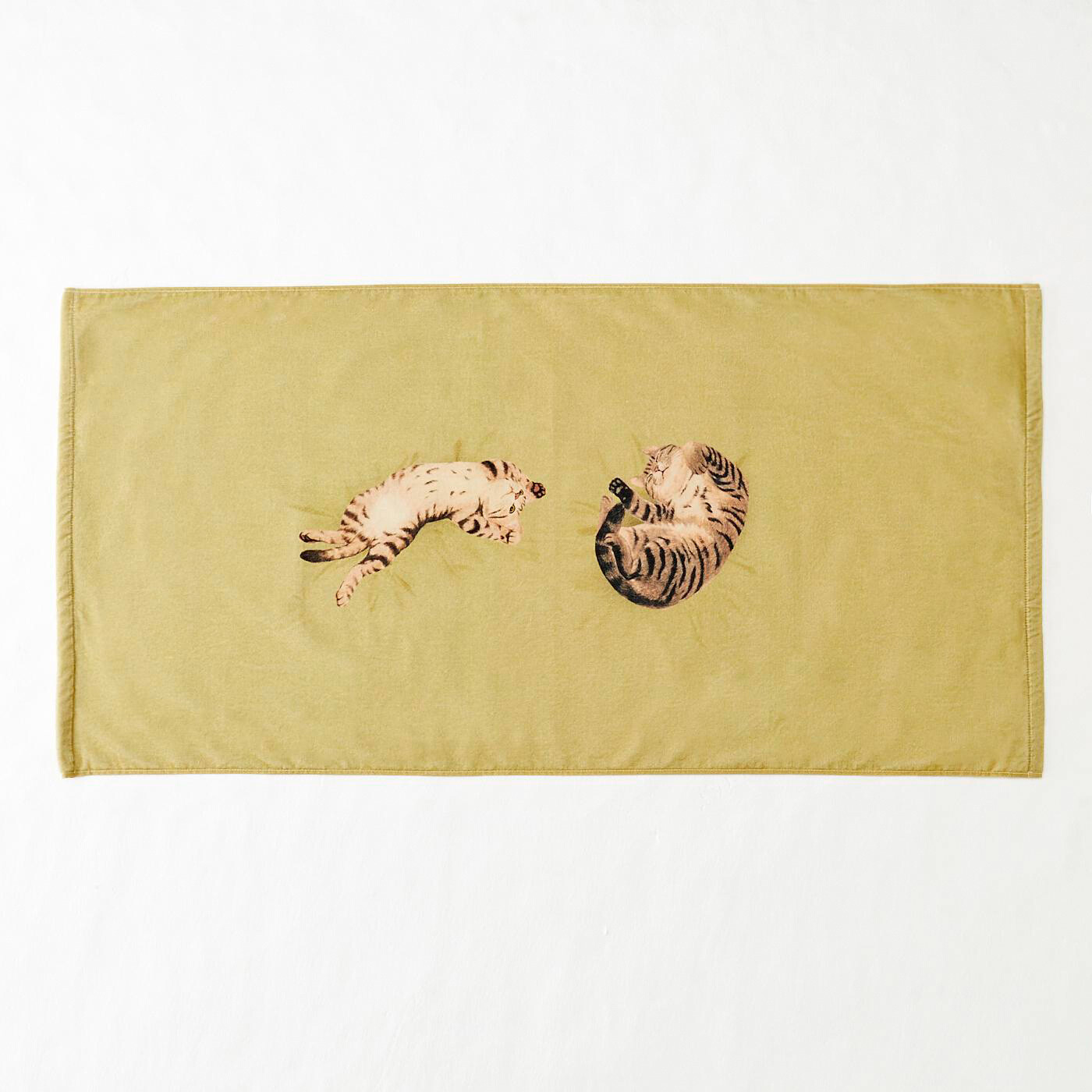 Discover the Joy of Keeping Cats with Sleeping Kitty Towels! 13