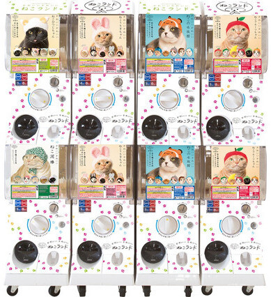 Turn Your Cat Into Hello Kitty With Adorable Collab Headwear! 9