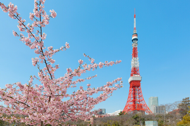 10 Beautiful Spots in Tokyo They Don't Tell You About [Ikemen Edition] 6