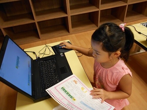 Programming experience  2