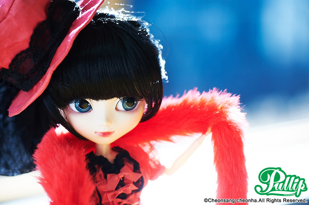A Primer on Custom Dolls Beginning with Pullip: Connecting Hearts Through Love 1