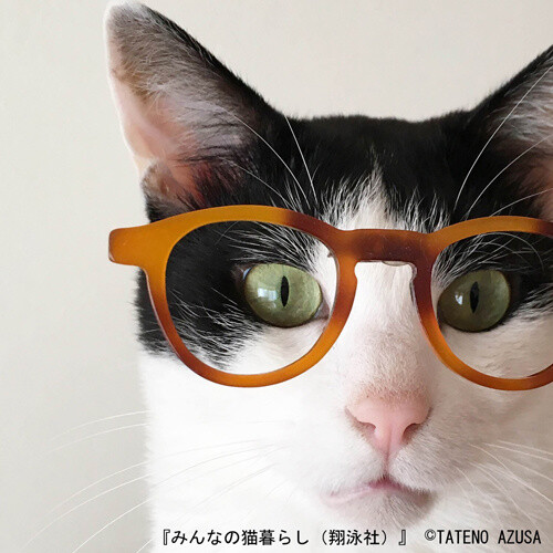 Mismatched couple Nutmeg and Honey (Azusa Tateno) 3