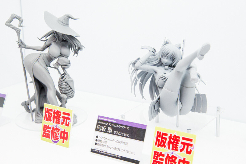 WonFes 2016 Winter Photo Collection! Part 2: Sexy & Cute 197