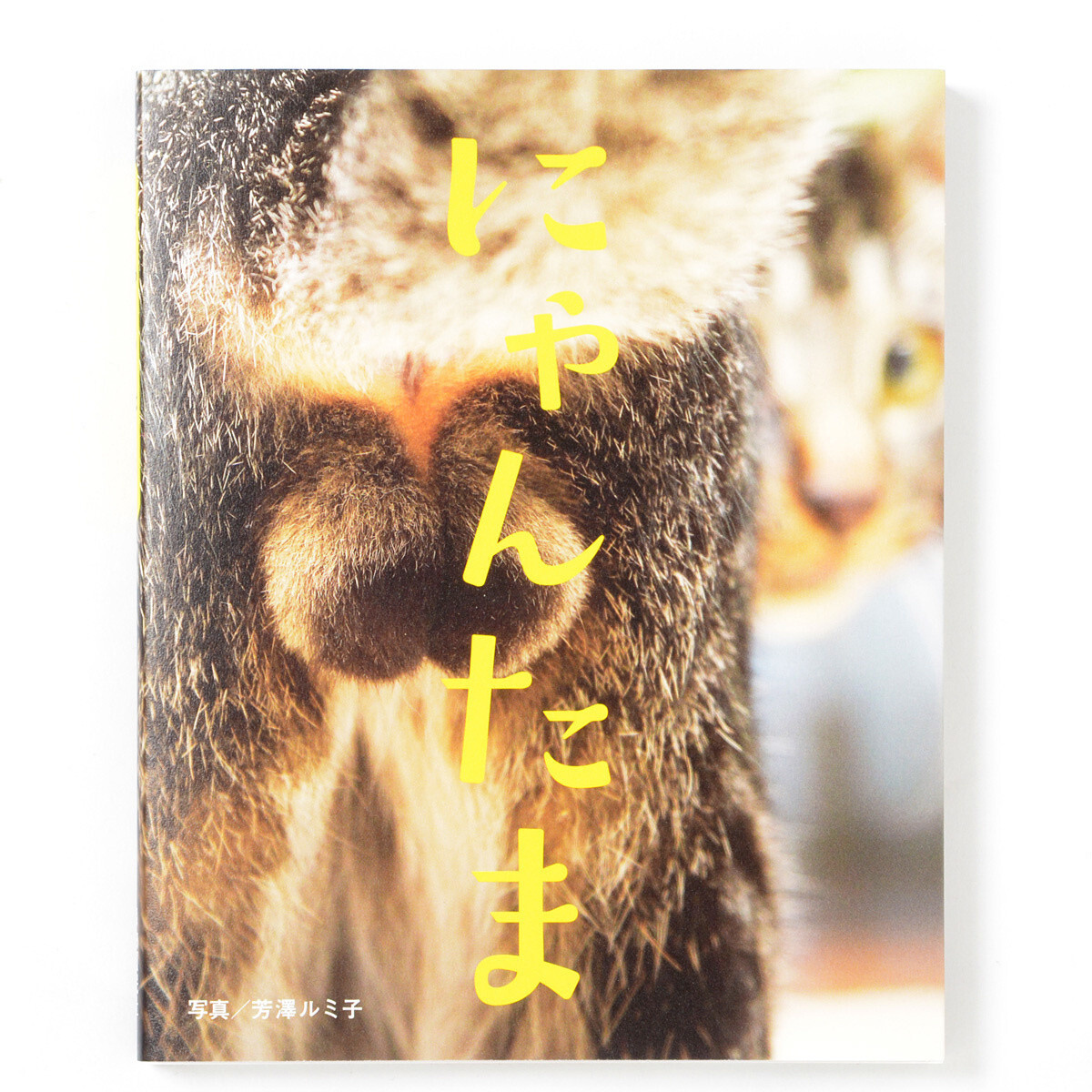 Let These Adorably Furry Behinds Take Your Worries Away 0