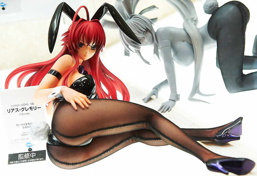 Who Knew Figures Could Be This Cute! Winter Wonder Festival 2014 Photo Report - Cute & Sexy Edition 171