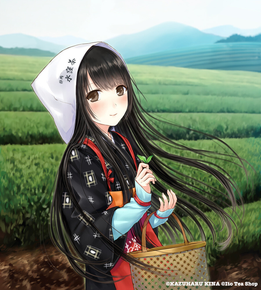 Misa Hatsushiro ©KAZUHARU KINA ©Ito Tea Shop 1