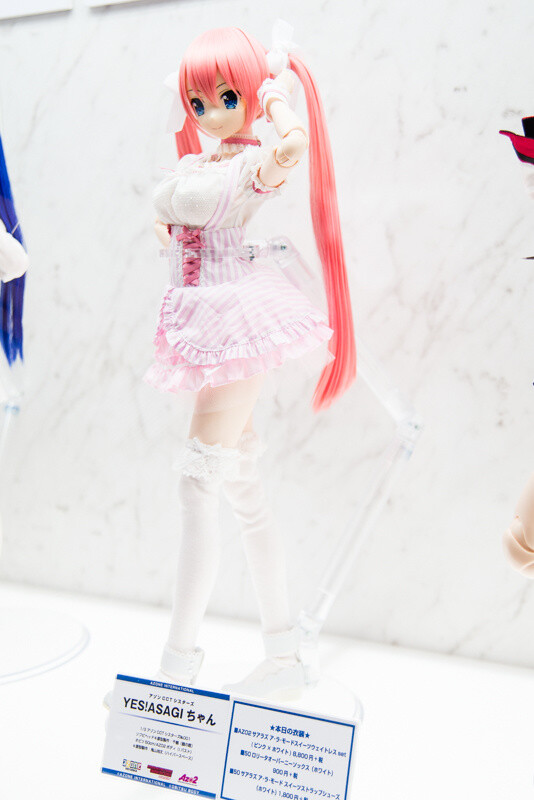 WonFes 2016 Winter Photo Collection! Part 2: Sexy & Cute 213