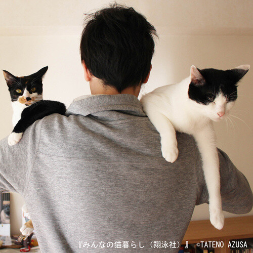 Mismatched couple Nutmeg and Honey (Azusa Tateno) 4