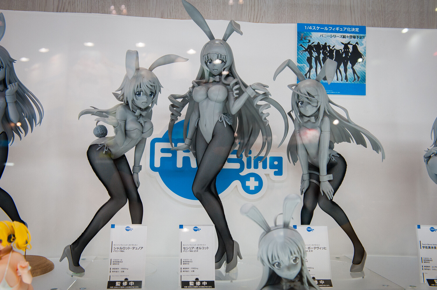 WonFes 2015 Summer Photo Collection! Part 2: Sexy & Cute Edition 75