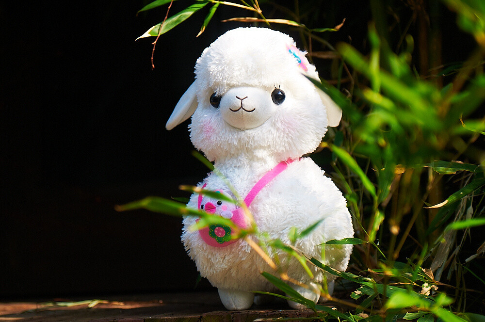 Kids Alpacasso 5