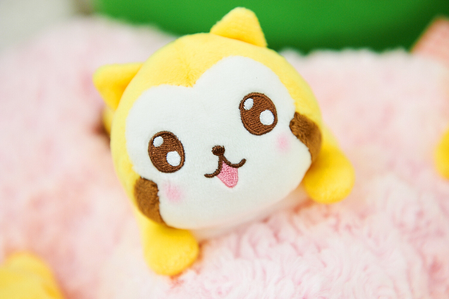 46th Prize Fair [Photo Report] 10