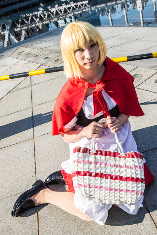 Comiket 89 Photo Report: Day 3 93